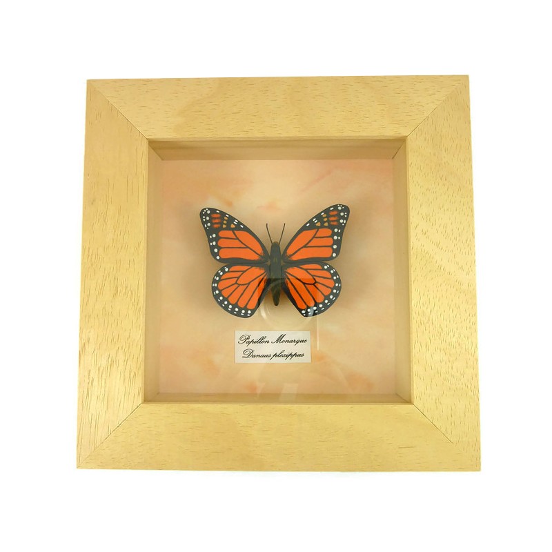 Orange black faux Monarch butterfly box frame Savousépate