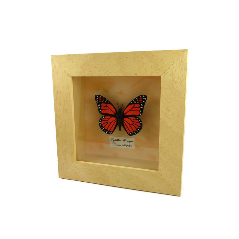 Orange black faux Monarch butterfly box frame Savousépate